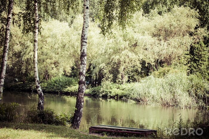 Poster Groen meer natuur, landschap, bos achtergrond