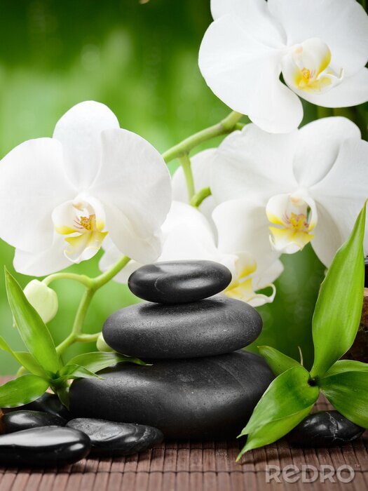 Poster Groene bamboe bladeren stenen en orchideeën