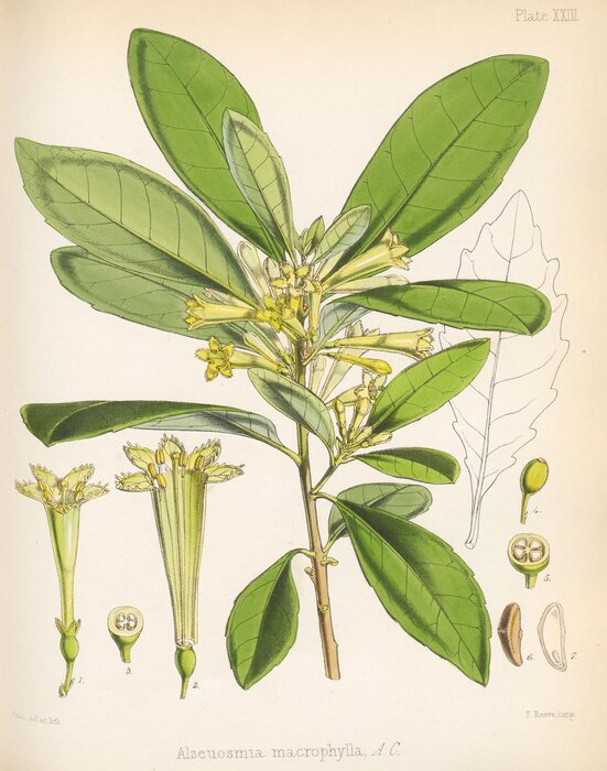 Poster Groene bladeren en bloemstructuur