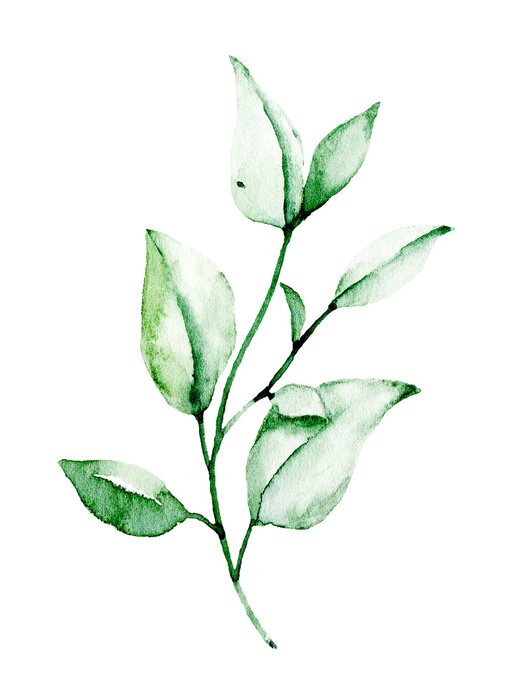 Poster Groene bladeren geschilderd met waterverf