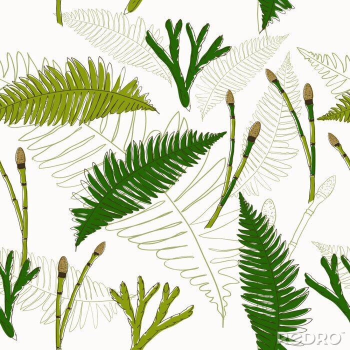 Poster Groene varens als ecothema