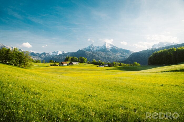 Poster Groene weide en bergen