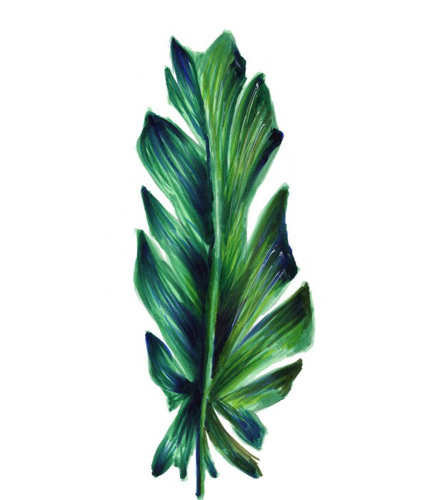 Poster Grote bananenblad op een witte achtergrond