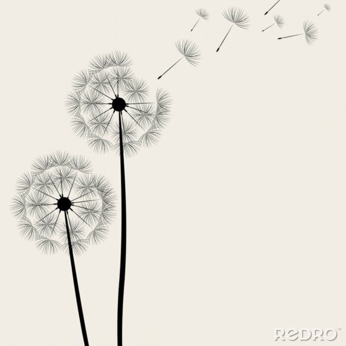 Poster Grote paardebloem bloemen