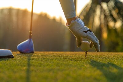 Poster Hand Aziatische vrouw die golfbal op T-stuk met club in golfcursus zetten op avond en zonsondergangtijd a voor gezonde sport. Levensstijl concept.