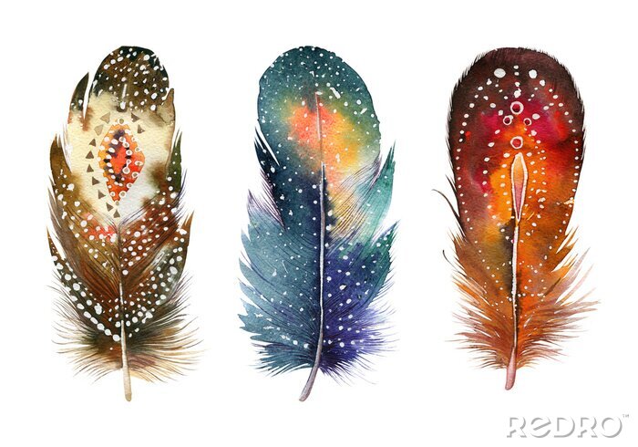 Poster Hand drawn watercolor feather set.  Boho style. illustration iso