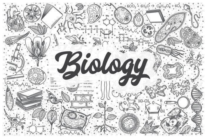Poster Hand getrokken biologie vector doodle set.