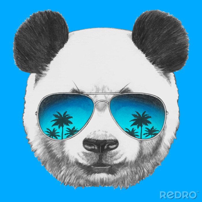 Poster Hand getrokken portret van Panda met spiegel zonnebril. Vector geïsoleerd elementen