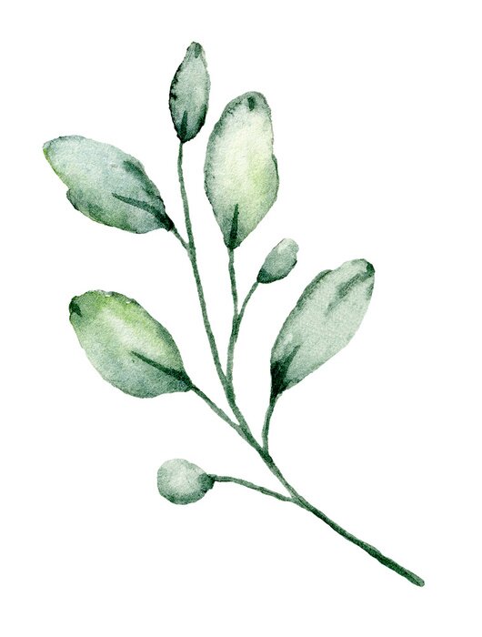 Poster Handgeschilderde groene bladeren