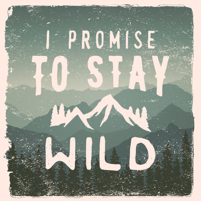 Poster Handgetekende wildernis, exploratie offerte.