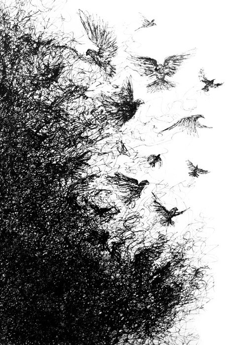 Poster Handmade symbolic pen drawing of birds disintegrating from a group to individuals and into particles