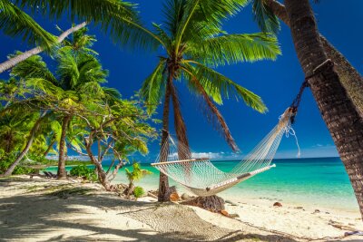 Hangmat aan palmbomen op het strand