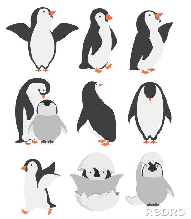 Poster Happy penguin and chicks characters in different poses set