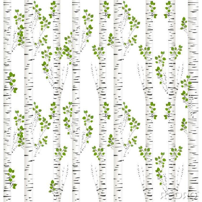 Poster Heldere berkenstammen