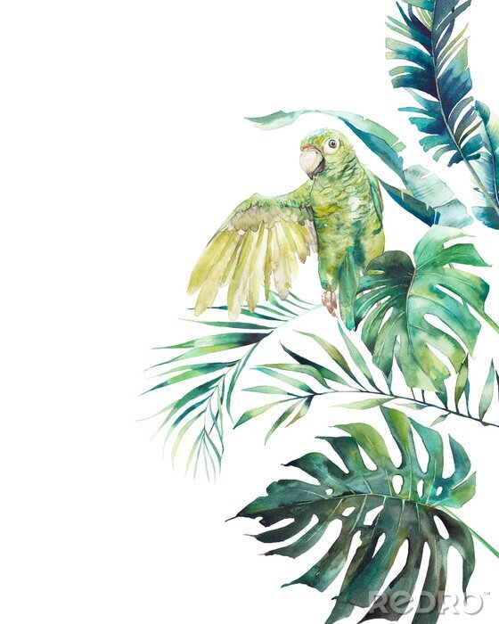 Poster Heldere jungle met een papegaai