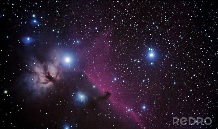 Poster Heldere sterren tussen nevels