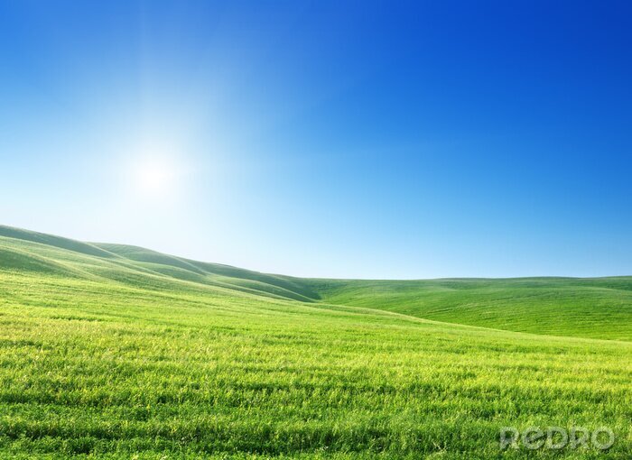 Poster Hemel zon en gras