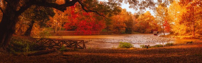 Poster Herfstpanorama met een houten brug