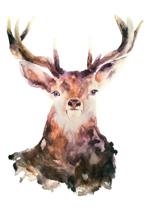 Poster Herten op een witte achtergrond