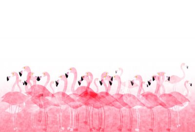 Poster Het land van de flamingo's