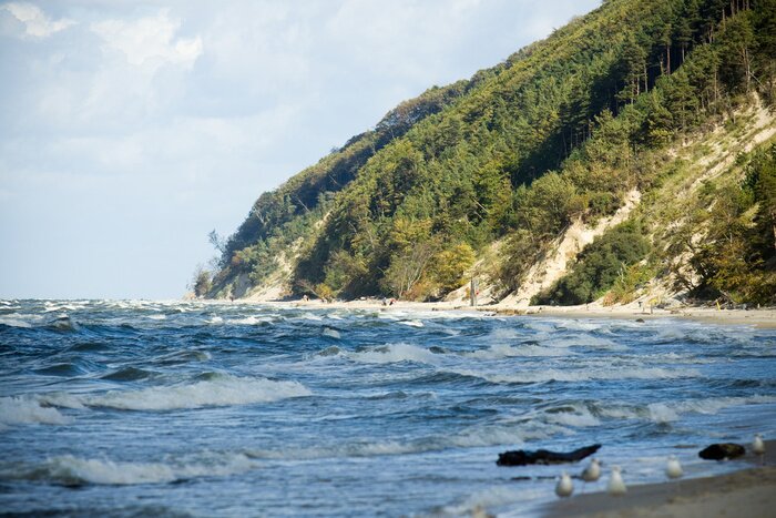 Poster Het landschap van de Poolse zee