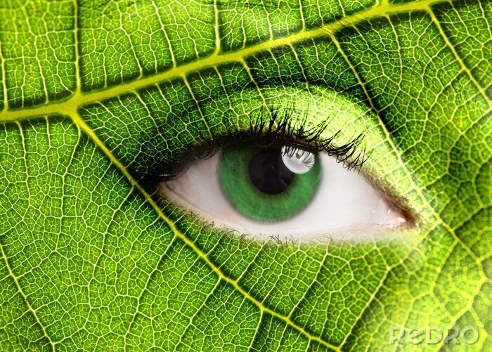 Poster Het oog van de natuur in het groen