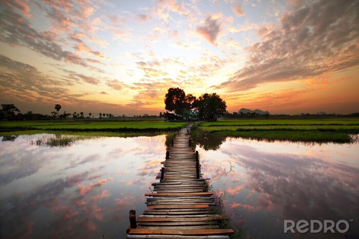 Poster Het thema van de natuur en de weg op de achtergrond van water