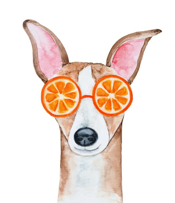 Poster Hond in fruitglazen