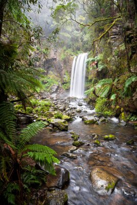 Poster Hopetoun Falls, een afgelegen waterval in de Otway Ranges, Australië