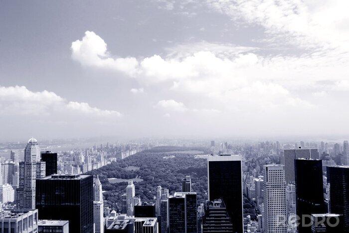 Poster Hotels en hoogbouw met Central Park, New York city