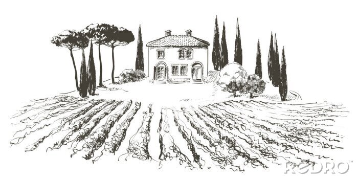 Poster Huis bij een wijngaard in Toscane