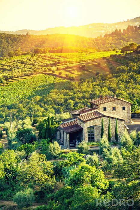 Poster Huis met wijngaard in Toscane