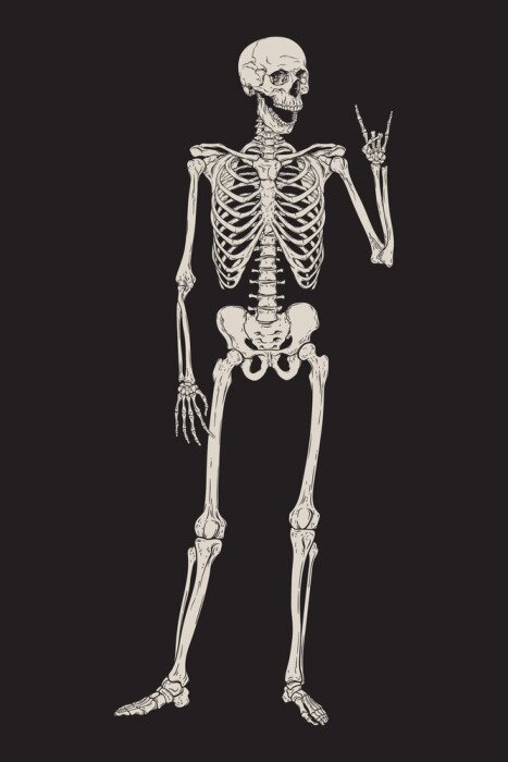 Poster Human skeleton posing isolated over black background vector illustration. Hand drawn gothic style placard, poster or print design.