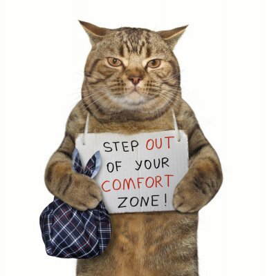 Poster Humoristische slogan met een kat