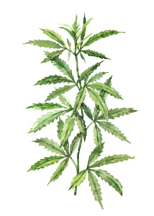 Poster Illustratie van diverse kleurrijke planten gerangschikt in een patroon