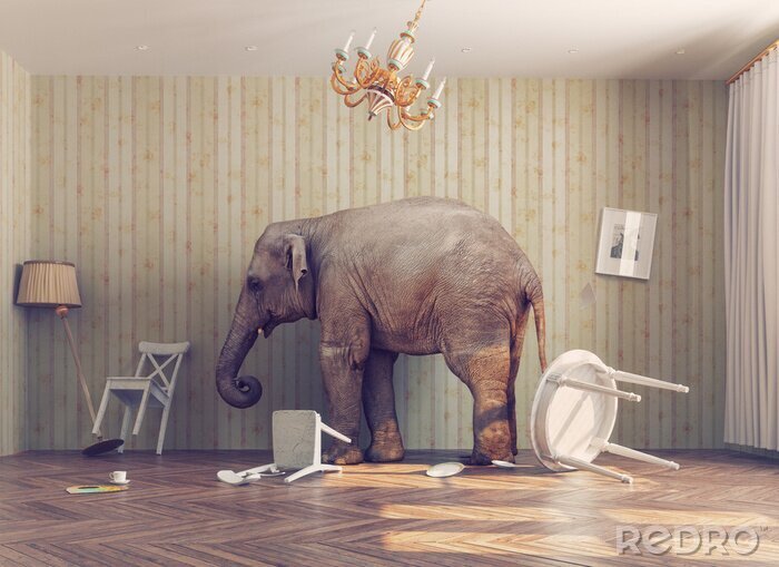 Poster Indische olifant in de kamer