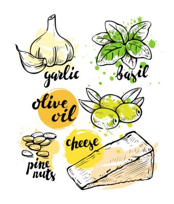 Poster Italiaanse ingrediënten voor pesto