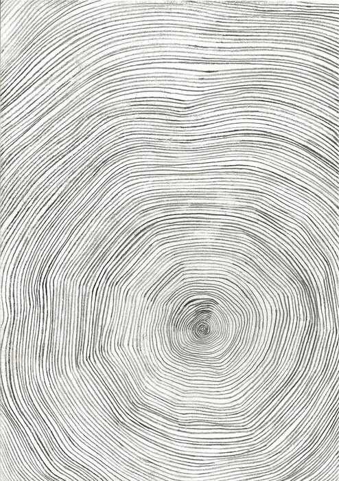 Poster Jaarringen op een afgezaagde boomstam