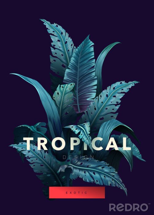 Poster Jungle en tropische letters