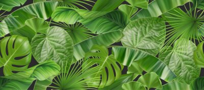 Jungle gebladerte naadloze patroon, 3d vector realistische achtergrond