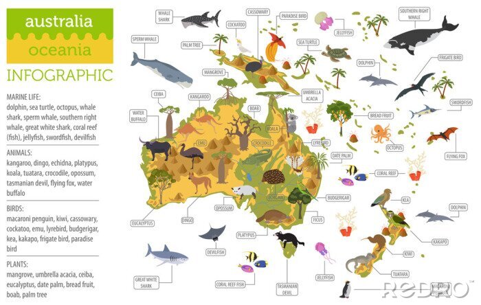 Poster Kaart van Australië en Oceanië flora en fauna, vlakke elementen. Dieren, vogels en zee leven grote reeks. Bouw uw infographicscollectie voor geografie