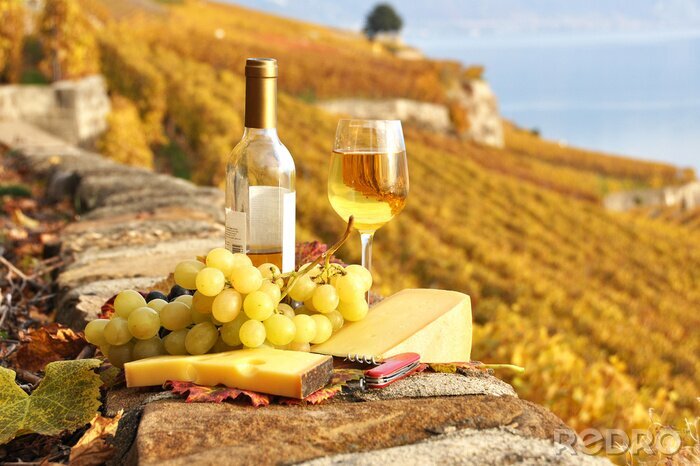 Poster Kaas en een glas wijn