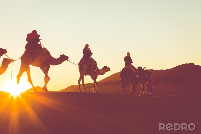 Poster Kameelcaravan met mensen die door de zandduinen gaan in Sahara Desert. Marokko, Afrika.