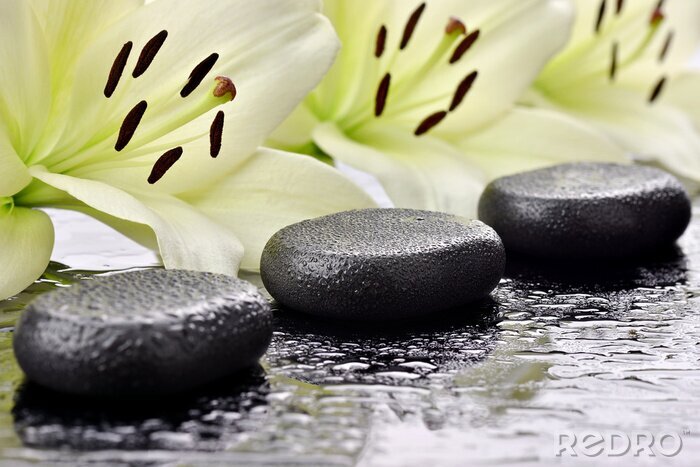 Poster Kamienie bazaltowe z liliami w tle