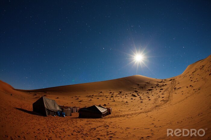 Poster Kamp in de Sahara woestijn in de nacht met de maan als ster en bewegende ster