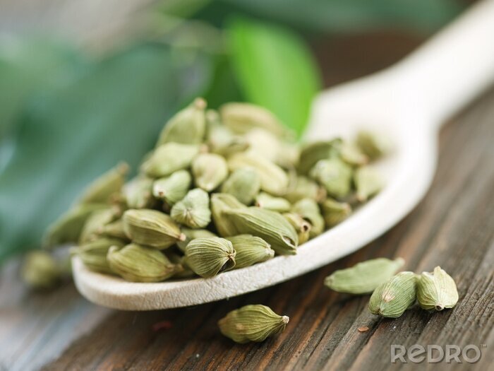 Poster Kardemomkruid