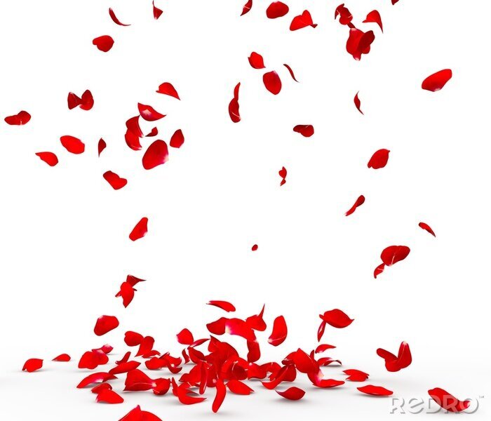 Poster Karmijnrode rozen vallende bloemblaadjes