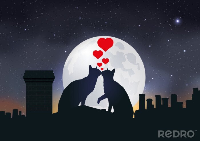 Poster Katten verliefd tegen de achtergrond van de maan