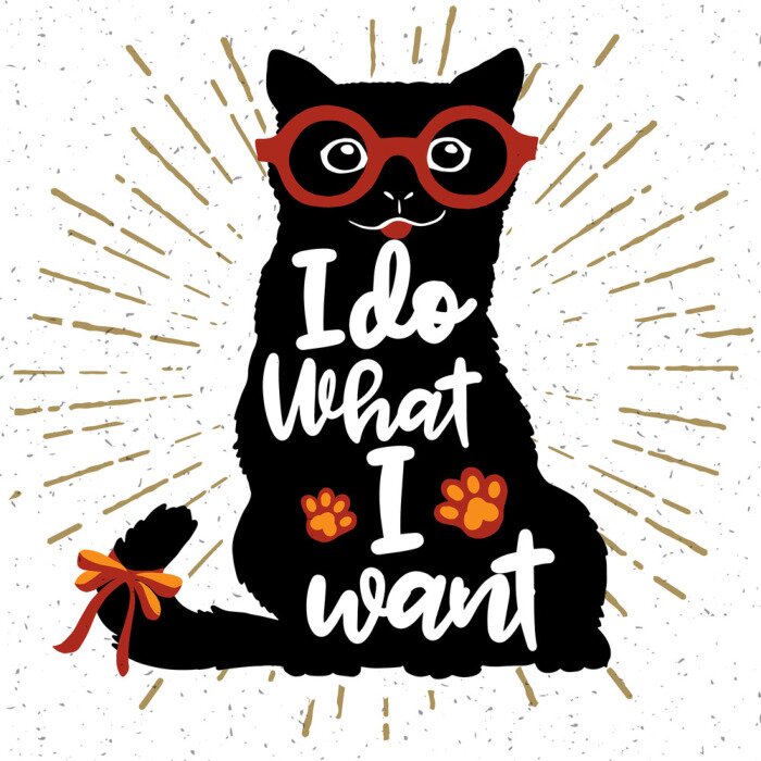 Poster Kattenafbeeldingen met letters