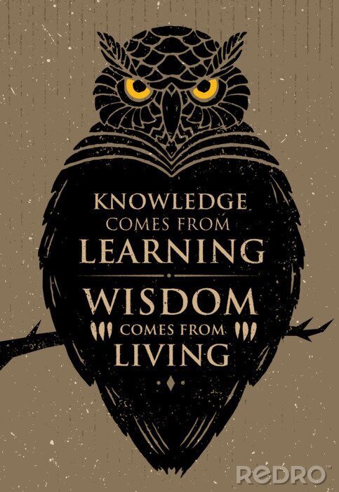 Poster Kennis komt uit Learning. Wijsheid komt van Living. Inspirerende Creative Motivatie Quote. Owl Vector Banner